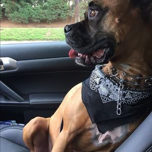 Meet your Posher, Mina